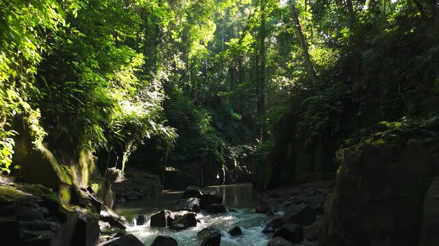 River winds through lush Tukad Beng Canyon jungle in Bali near Kanto Lampo, scenic drone pullback shot.