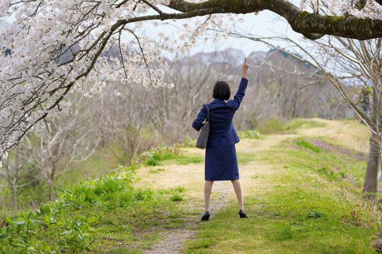 桜の下で片手を突き挙げるスーツ姿の女性の後ろ姿