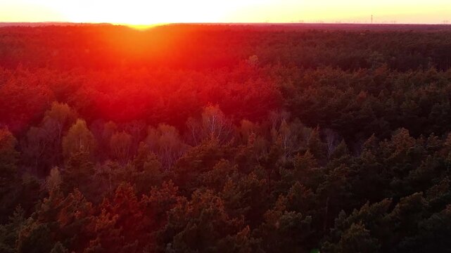 Aerial Poland forest Brilliant red sunset pull fast. Northern Poland. Springtime season, brilliant colorful sunset, trails, rivers and lakes. Nature landscape nature. Outdoor recreation. Parks forest.