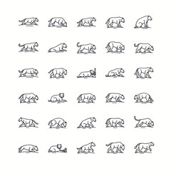 Obraz premium Collection of stylized line art illustrations depicting various poses and movements of a big cat, possibly a panther or jaguar.