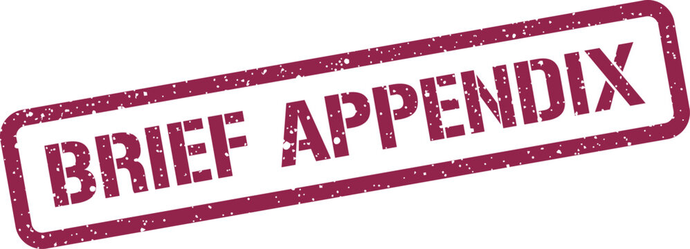 Grungy rubber stamp text displaying the phrase brief appendix for adding supplementary document sections