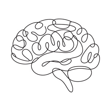 A continuous line drawing depicts the shape of a human brain