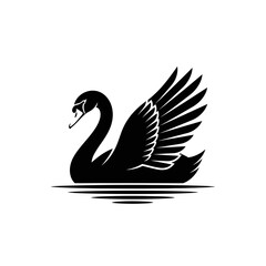 Fototapeta premium Elegant black swan silhouette swimming on water