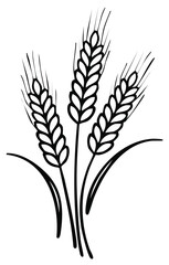 Fototapeta premium Black and white illustration of three wheat stalks and blades.