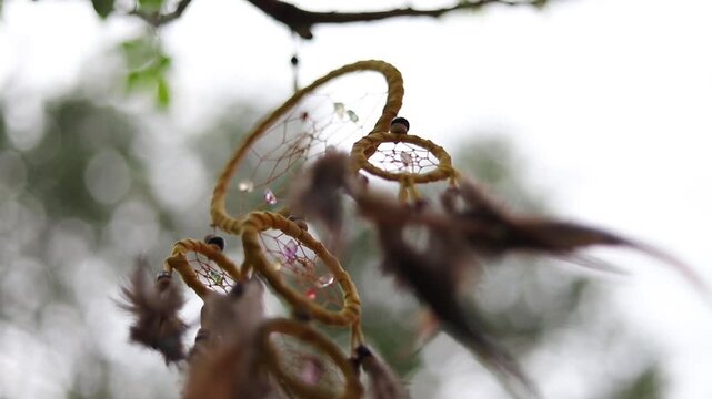 Dreamcatcher on nature so beautiful. Dream catchers blow.