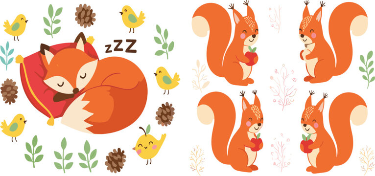 Cute squirrel vector illustration set with sleeping fox, birds and forest elements, woodland animals and seamless pattern collection isolated on white background