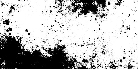 Fototapeta premium Black and White Grunge Splatter Texture Vector Background