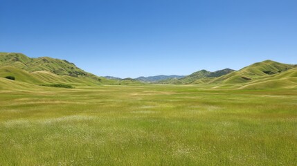 Fototapeta premium Expansive Green Meadow Under Clear Blue Sky Surrounded by Rolling Hills, Perfect for Nature Lovers and Outdoor Enthusiasts in Beautiful Landscape