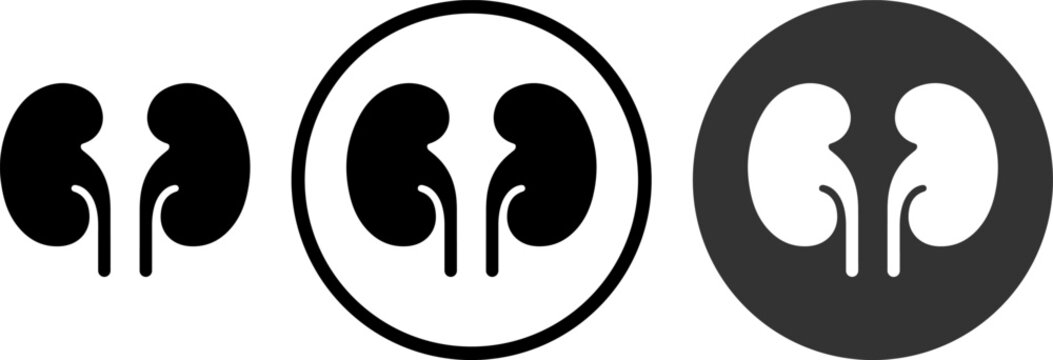 human kidneys health awareness flat design vector illustration