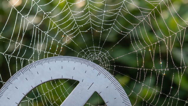 Macro of a silver protractor measuring the angles of a dew covered spider web