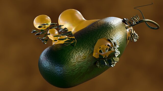3d render of a bacterium undergoing lysis or exploding. the cellular membrane is rupturing, releasing internal components and cytoplasmic material in a detailed microscopic visualization.