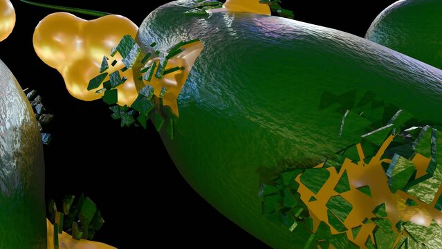 3d render of a bacterium undergoing lysis or exploding. the cellular membrane is rupturing, releasing internal components and cytoplasmic material in a detailed microscopic visualization.