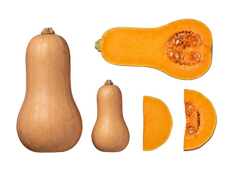 Whole and sliced butternut squash arranged on a transparent background.