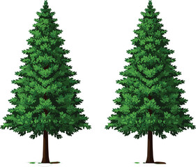 Fototapeta premium Realistic Pine Tree Vector Illustration, Evergreen Conifer Trees Set with Lush Green Foliage, Detailed Nature Elements Isolated for Forest and Landscape Design