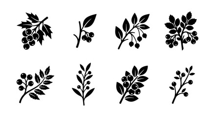Set of 8 Black Berry Branch Vector Icons, Botanical Elements for Nature Designs, Organic Food and Harvest Graphics © Rosna
