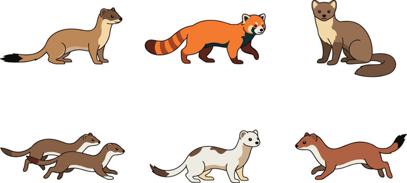 Set of Ferret and Red Panda Vector Illustrations in Various Poses for Wildlife, Animal, and Nature Designs