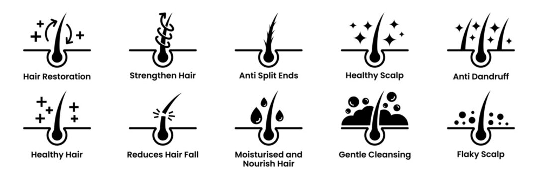 Hair treatment and care icon set vector. Anti dandruff, Anti Split Ends, Strengthen Hair, Healthy Scalp, Flaky Scalp, Gentle Cleansing, Reduces Hair Fall, Restoration, Moisturise and Nourish Hair.