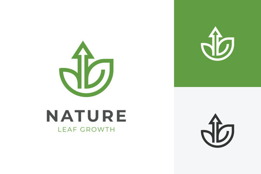 Leaf Growth Logo with Arrow Concept Symbol for Eco Business Development and Sustainable Branding
