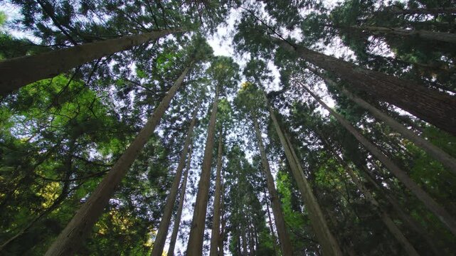 秋田県にかほ市 元滝伏流水の風景 Landscape of Mototaki underground water in Nikaho City, Akita Prefecture