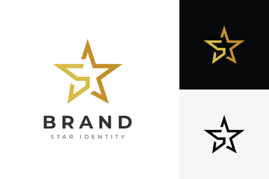 Letter S Star Logo with Abstract Line Concept Symbol for Premium Brand Identity and Corporate Branding