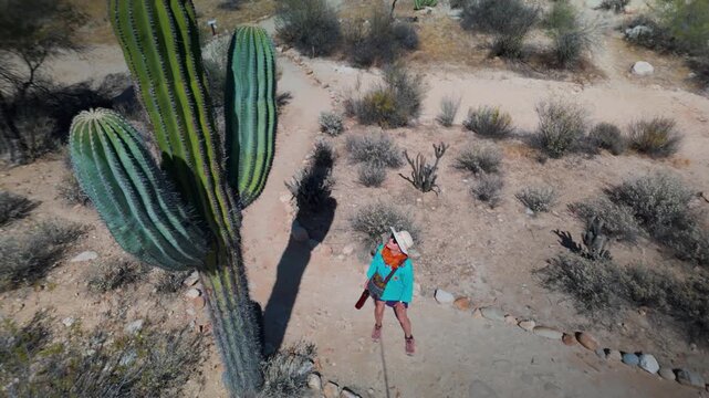 Explore the desert of Catavina Baja California while hiking to view ancient cave paintings and learn about archaeology.