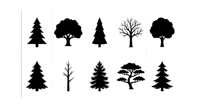 Collection of Realistic Forest and Garden Tree Silhouettes Vector Set