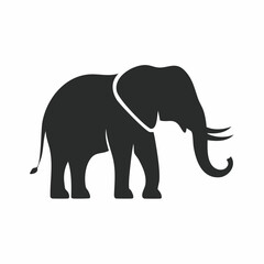 Fototapeta premium Silhouette of an African Elephant