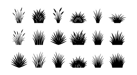 Set of 15 Black Silhouette Grass Clumps, Vector Plant Icons for Nature Scenes, Landscape Design Elements, Lawn and Garden Graphics © Adnan