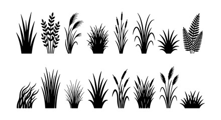 Diverse Grass and Plant Silhouettes Collection, Vector Icons for Nature Design, Botanical Elements for Landscape and Garden Graphics © Adnan