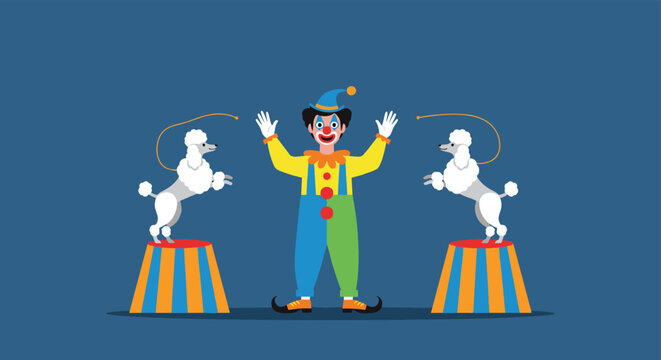 Circus clown in colorful costume performing with two white poodles on circus pedestals against dark blue background.