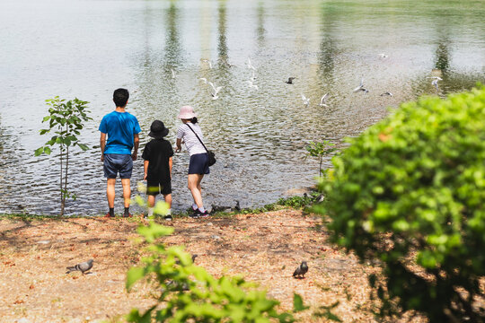Unidentified family feeding a birds during a sunny day at the park.