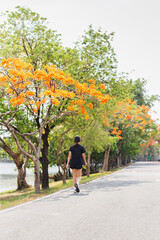 Obraz premium Woman exercise takes a peaceful walk in a park.