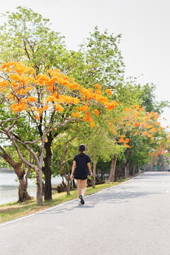 Woman exercise takes a peaceful walk in a park.