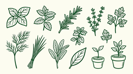 A collection of various fresh herbs and young plants in pots, illustrated in a simple, clean line art style with a green color palette. © logan