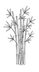 Obraz premium Hand Drawn Bamboo Stalks Illustration
