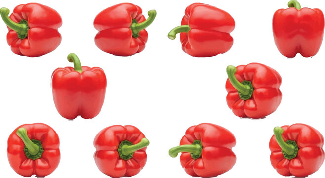 Red Bell Pepper Vector Set with Whole Fresh Capsicum in Different Angles for Food Illustration, Cooking Design, and Healthy Vegetable Graphics