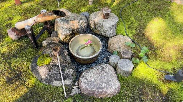 Traditional Japanese Tsukubai Water Basin with Camellia Flower in Kanazawa Garden