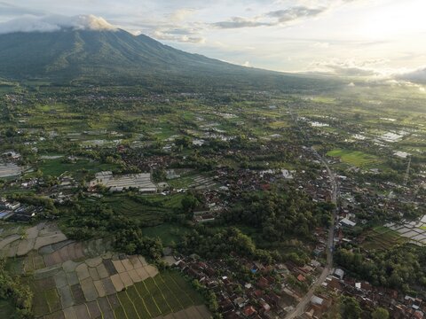 Aerial View of Banten Rice Terraces and Mountain Landscape