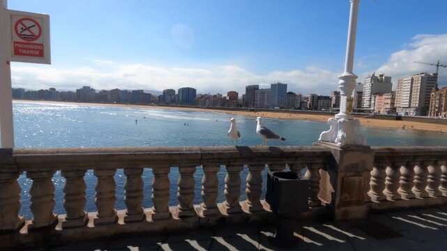 Seagulls perched on ornate stone balustrade promenade overlooking Playa San Lorenzo in Gij&oacute;n, Asturias, Spain. Sunny day with blue sky and city skyline in background.