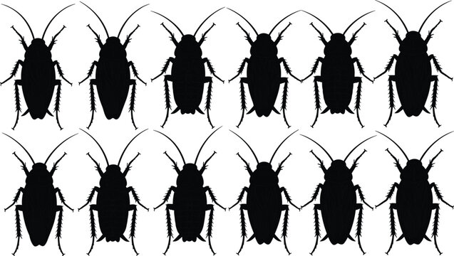 Cockroach silhouettes vector set, black insect icons collection, detailed pest shapes isolated on white background for infestation, hygiene, extermination design use