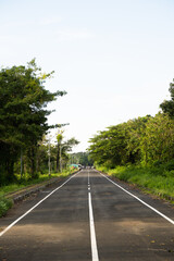 Obraz premium Empty straight asphalt road flanked by dense green trees under bright sky