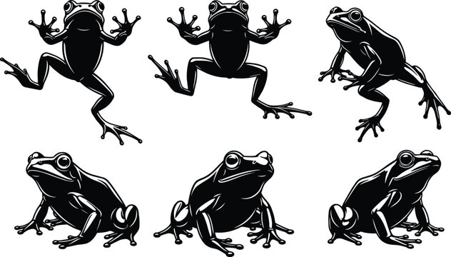 Frog silhouettes vector set, detailed amphibian animals in dynamic poses, black wildlife illustrations isolated on white background for nature design