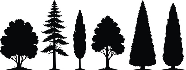 Fototapeta premium Tree silhouette collection vector, various forest and garden tree shapes isolated on white background for landscape and nature design
