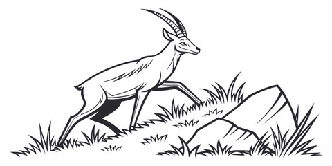 a pronghorn antelope standing on a grassy hill Vector ©  MST RABEYA  BEGUM