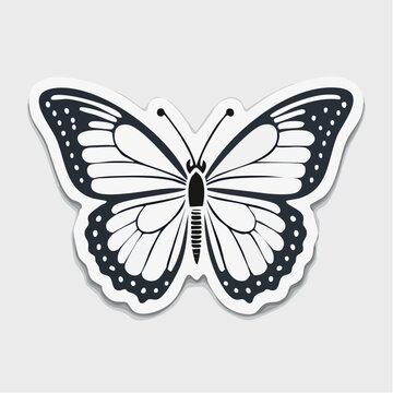 Monarch Butterfly Illustration