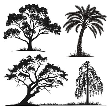 four different types of trees in black and white Vector
