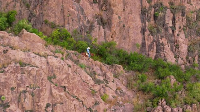 Man on horse carefully makes his way through challenging rocky cliff edge at great height. Aerial view captures rider traversing steep pink rock formations with green vegetation and desert shrubs.