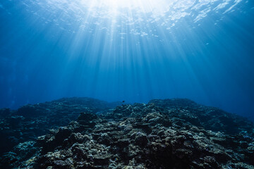 Fototapeta premium Sunburst Above Ocean Surface With Light Rays Underwater