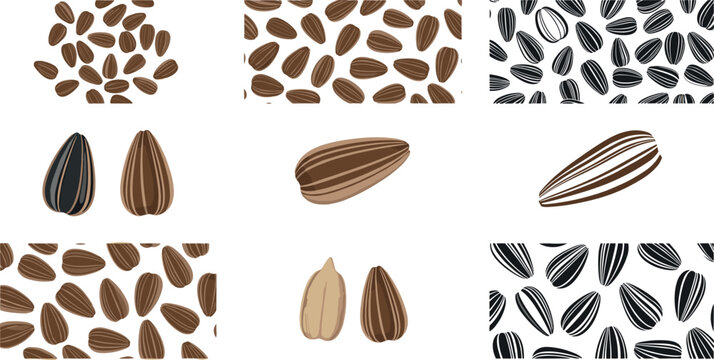 Sunflower seeds collection with seamless patterns and hand drawn seed illustrations for food packaging, snack branding, and agricultural design