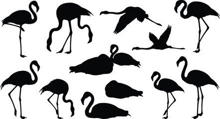 Bird silhouette vector collection, flamingo poses, flying and standing birds, elegant shapes, black design, nature theme, wildlife illustration, artistic concept © Rebeka